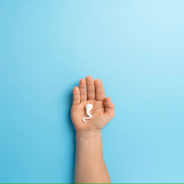 alaanmed